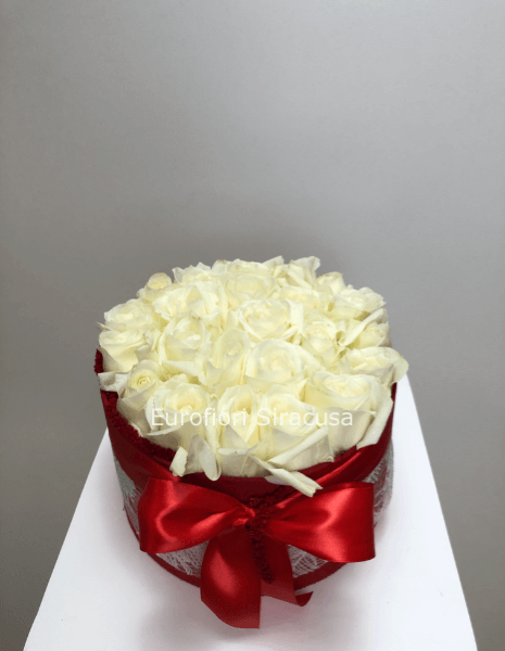 White Box