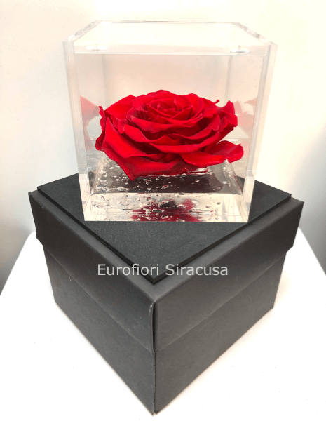 Eternal rose