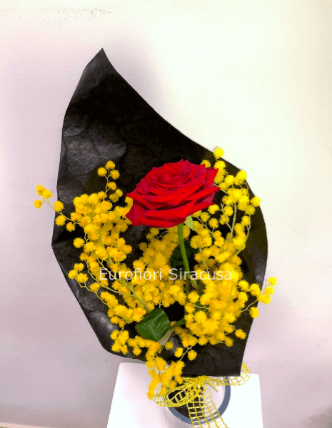 Rosa rossa (a gambo lungo) con tralcio di mimosa